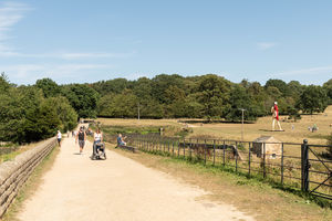 Photo 7- click for photo gallery